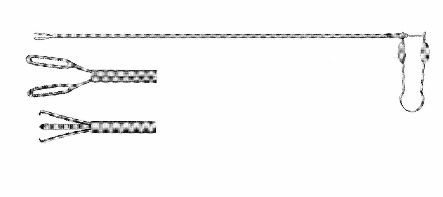 GRASPING FORSEPS ,BAHAR KOL  31CM
